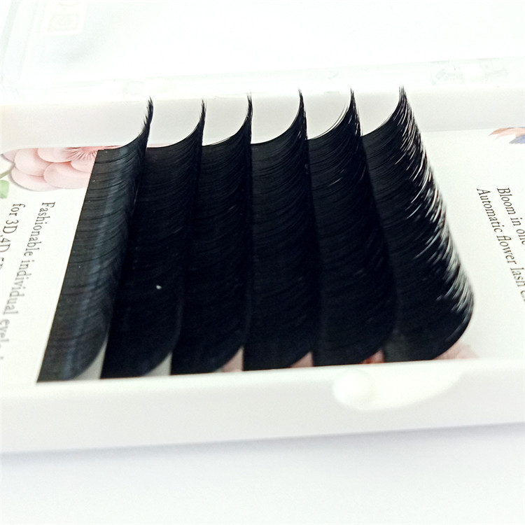 Easy Fan Eyelash Blooming Volume Eyelash Supplier Y36
